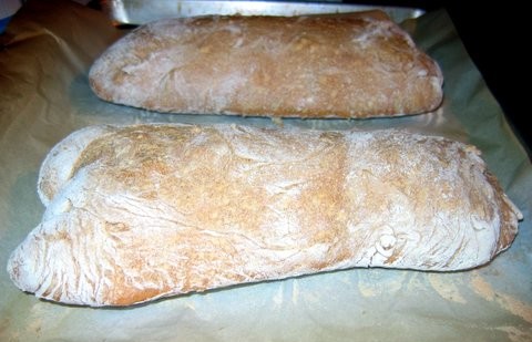 Ciabatta