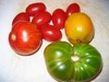 Tomatoes_1