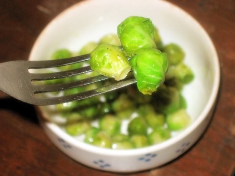 Sprouts_4