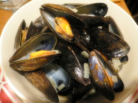 Mussels_1