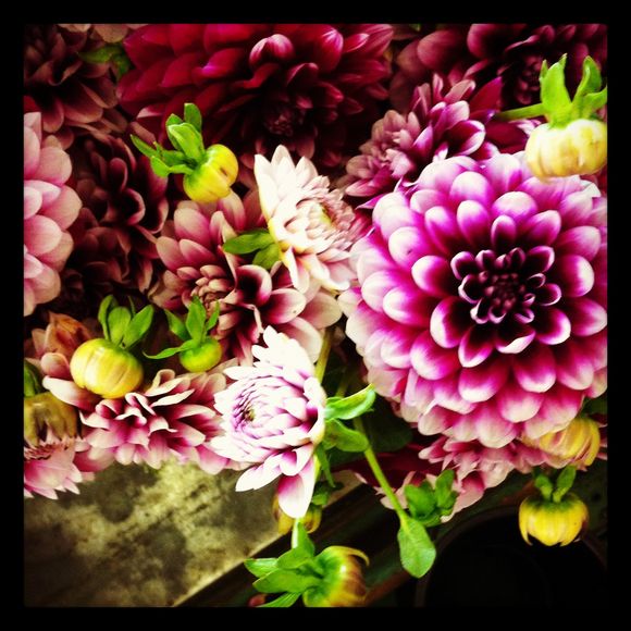 My Berlin Kitchen: West Coast Tour Update