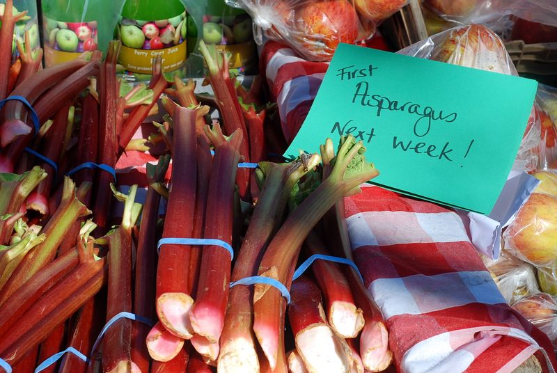 First rhubarb at Barnes market