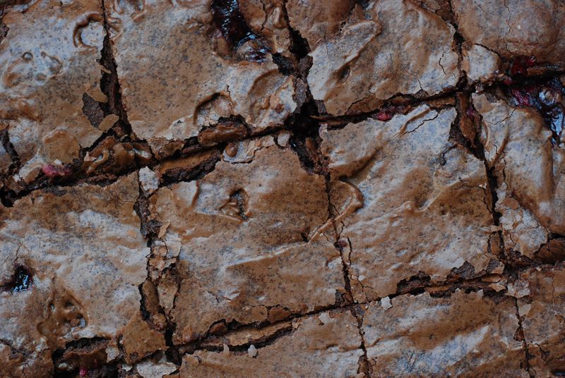 Brownies with cranberries